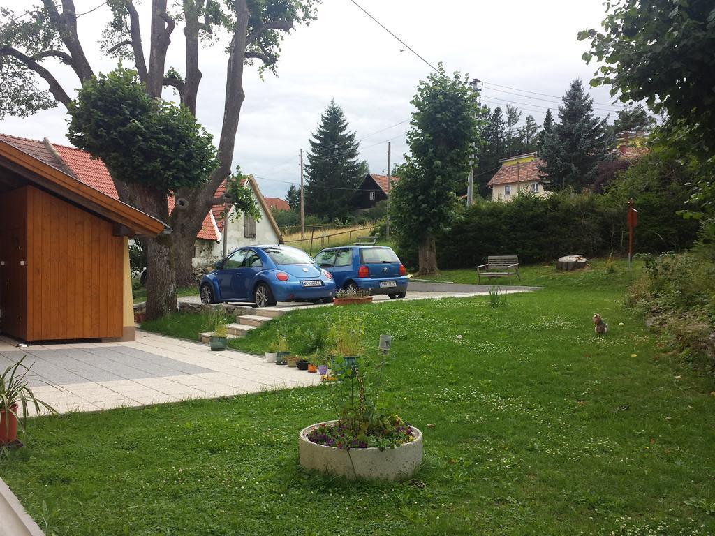 Villa Luef Mönichkirchen المظهر الخارجي الصورة